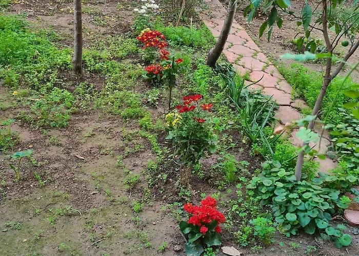 Apartment Karpuzkaldlran Karslsl Muestakil Girisli Bahceli Antalya